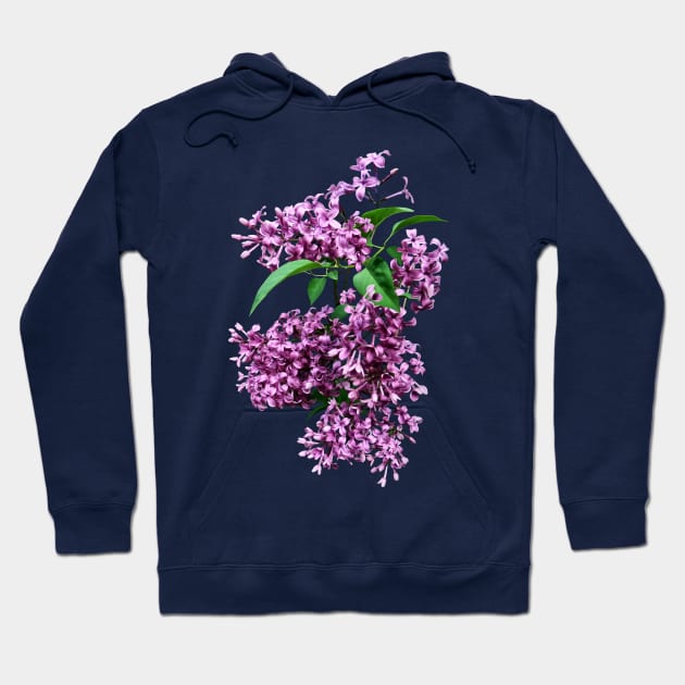 Lilacs - Elegant Lilacs Hoodie by SusanSavad